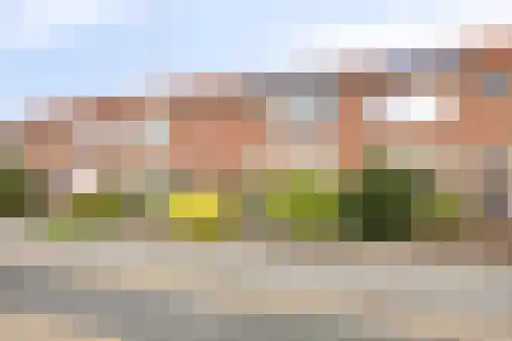 Magnoliastraat 47 Neede thumbnail 33