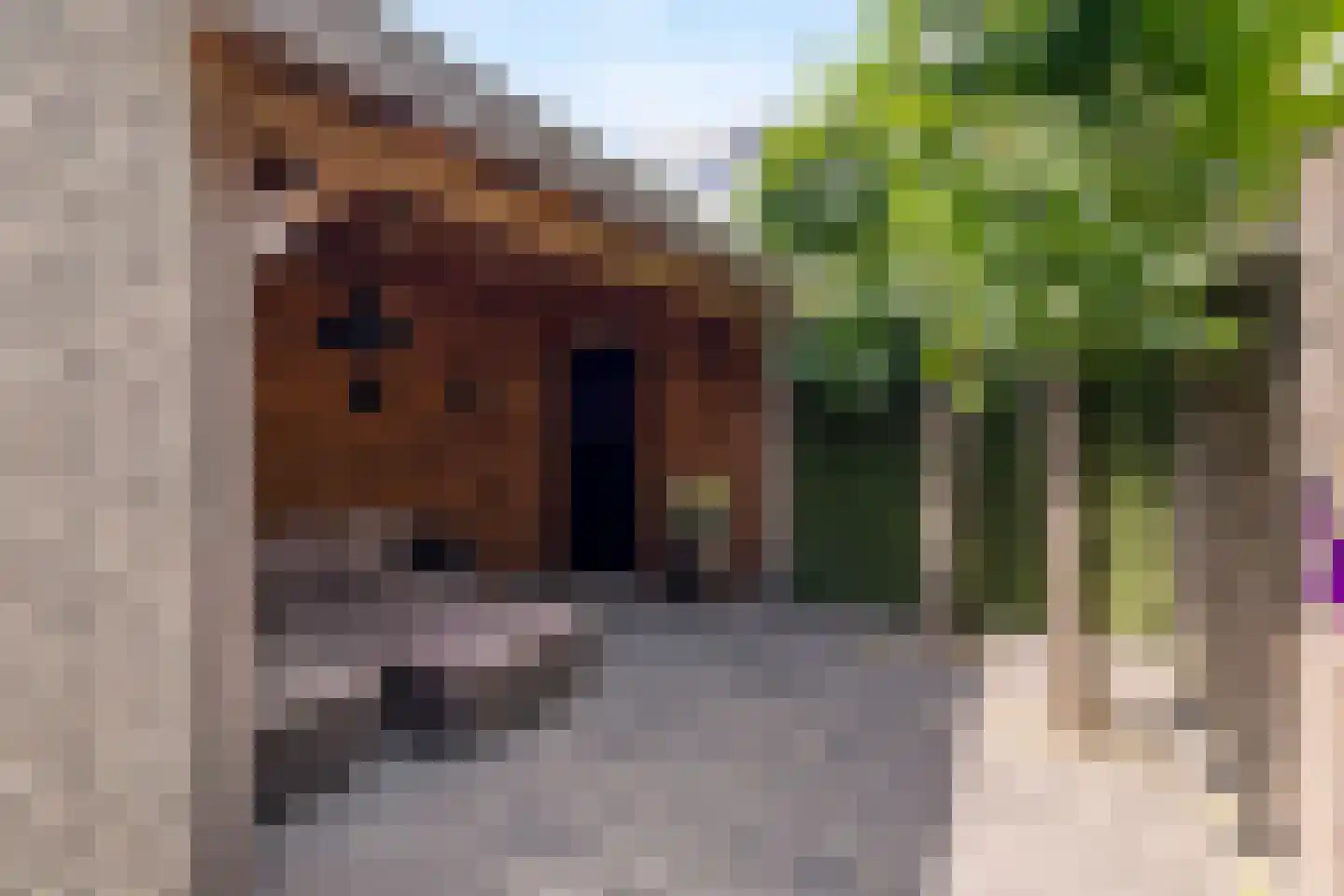 Magnoliastraat 48 Breda thumbnail 37