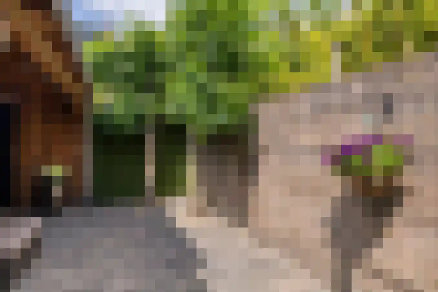 Magnoliastraat 48 Breda thumbnail 39