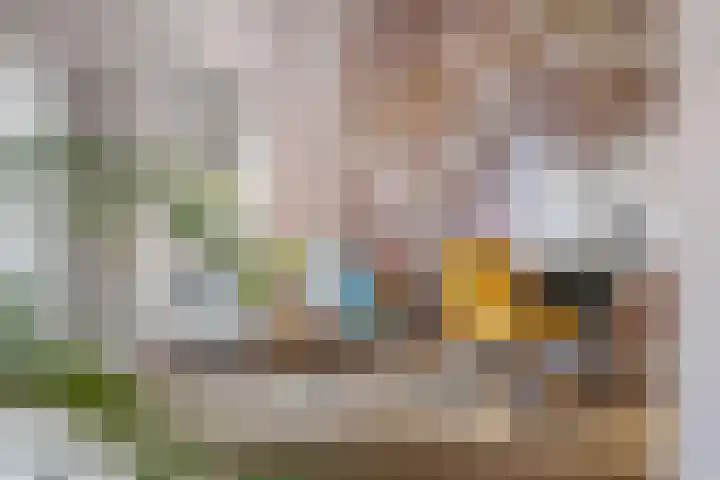 Magnoliastraat 5 Breda thumbnail 11
