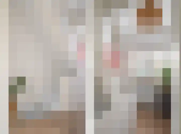 Magnoliastraat 5 Breda thumbnail 30