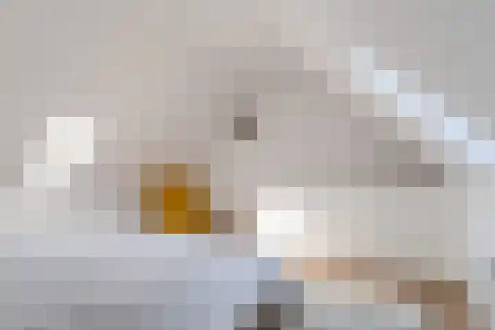 Magnoliastraat 5 Breda thumbnail 33