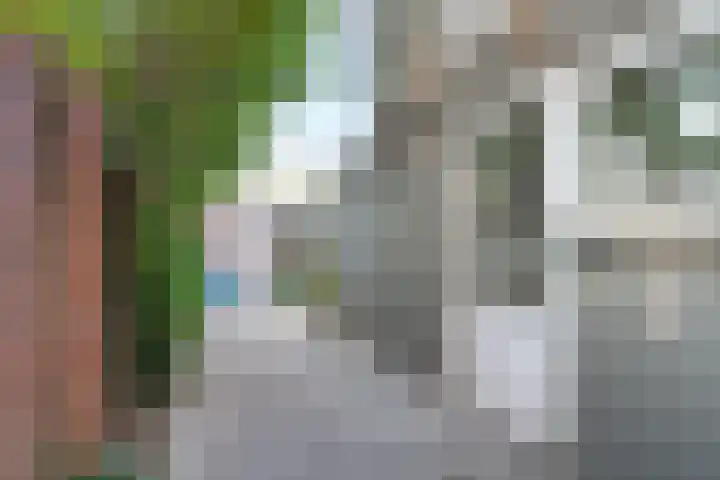 Magnoliastraat 5 Breda thumbnail 37