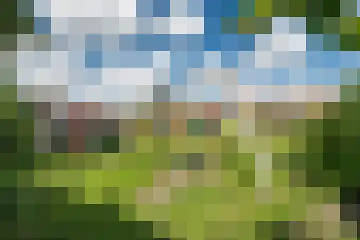 Magnoliastraat 5 Breda thumbnail 41