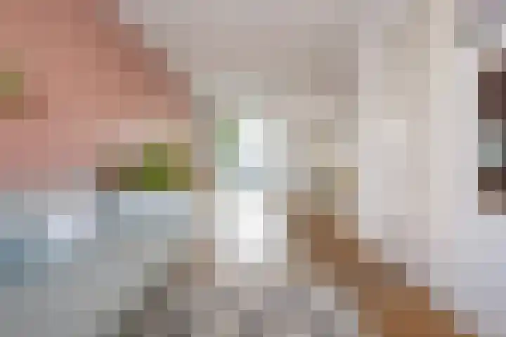 Magnoliastraat 5 Breda thumbnail 7