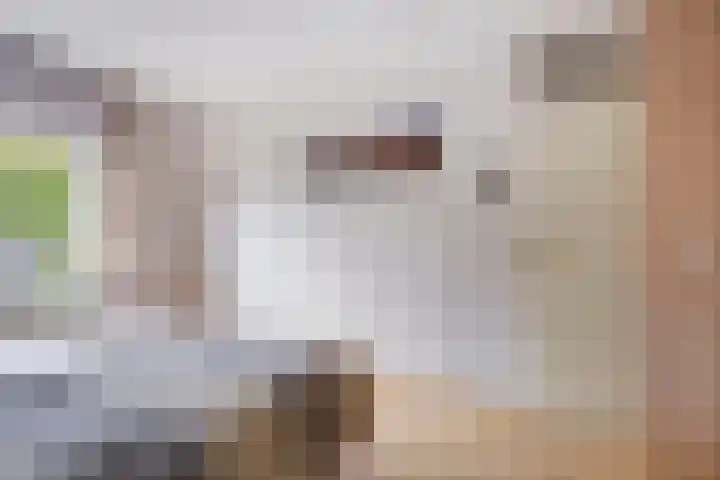 Magnoliastraat 5 Heerlen thumbnail 17