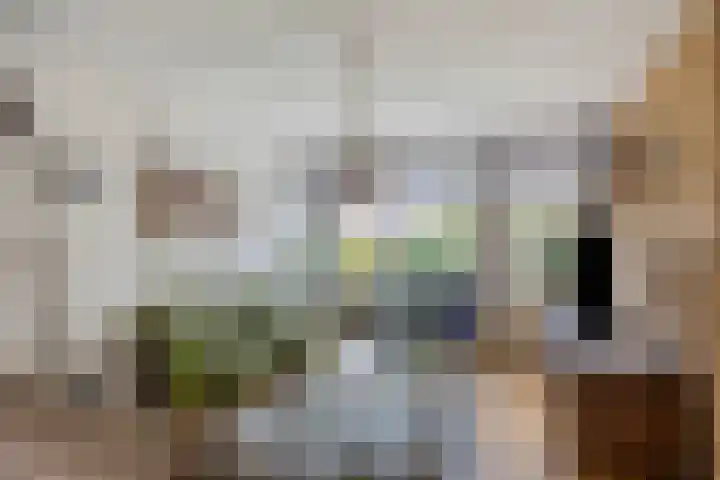 Magnoliastraat 5 Heerlen thumbnail 7