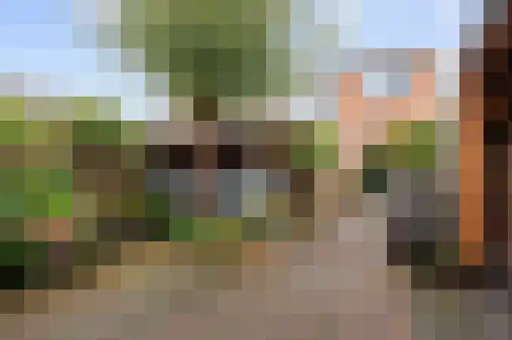 Magnoliastraat 5 Roden thumbnail 38