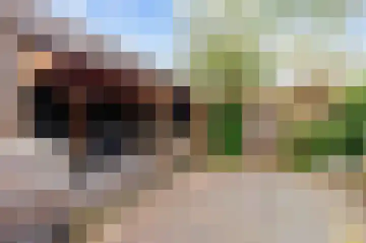 Magnoliastraat 5 Roden thumbnail 39