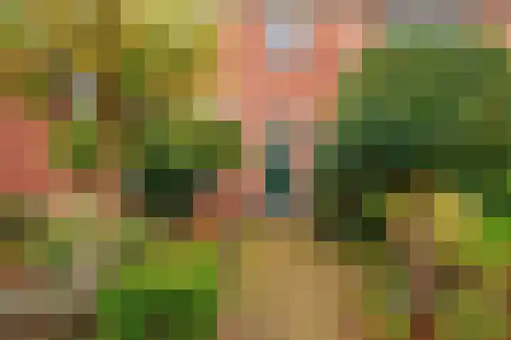 Magnoliastraat 5 Roden thumbnail 4