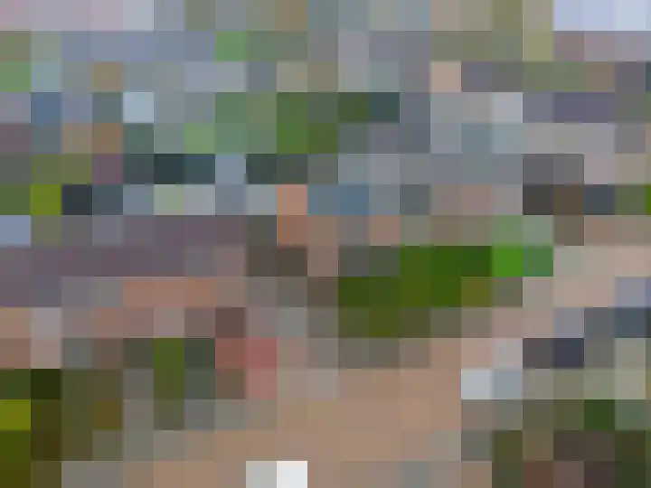 Magnoliastraat 5 Roden thumbnail 47