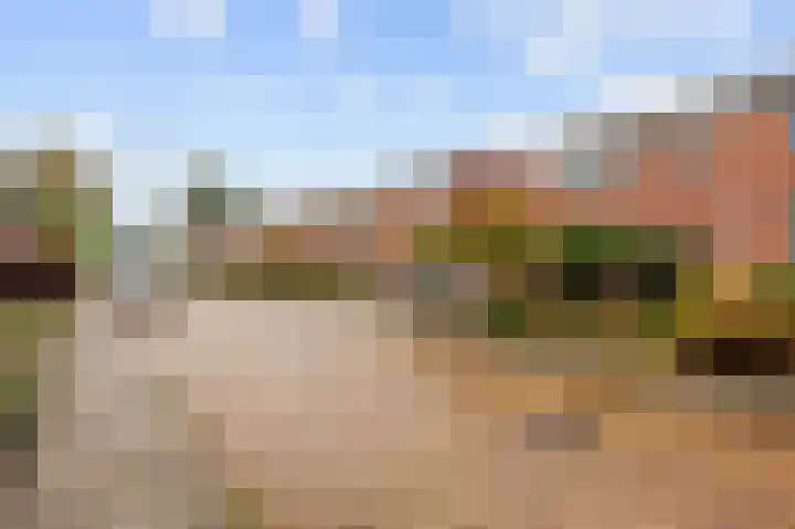 Magnoliastraat 5 Roden thumbnail 48