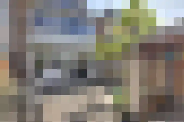 Magnoliastraat 7 Dordrecht thumbnail 27