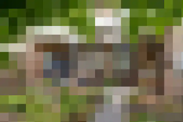 Magnoliastraat 70 Nederweert thumbnail 26