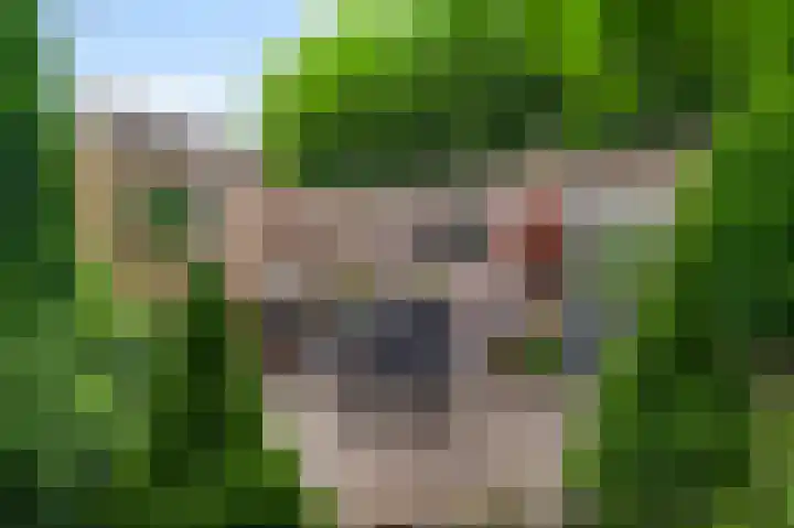 Magnoliastraat 70 Nederweert thumbnail 27