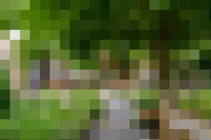 Magnoliastraat 70 Nederweert thumbnail 28
