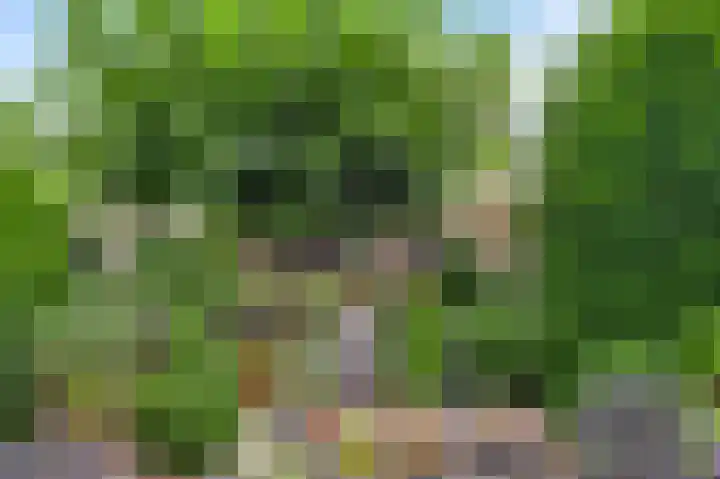 Magnoliastraat 70 Nederweert thumbnail 29