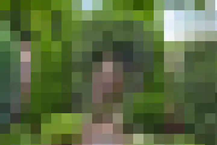 Magnoliastraat 70 Nederweert thumbnail 30