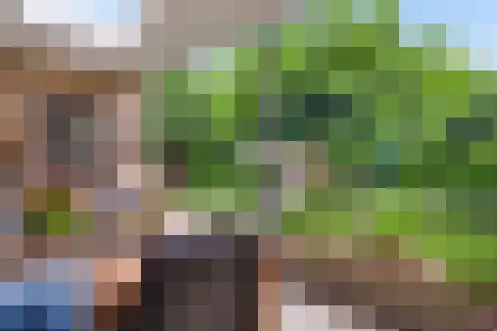 Magnoliastraat 70 Nederweert thumbnail 31