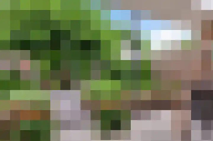 Magnoliastraat 70 Nederweert thumbnail 32