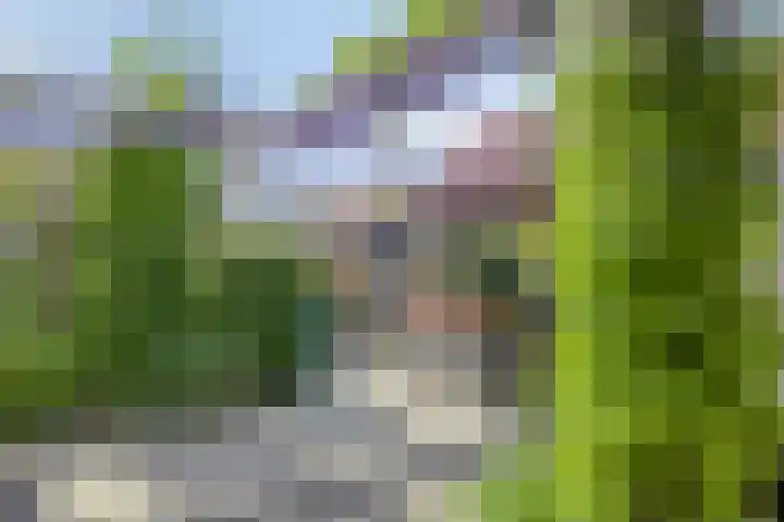 Magnoliastraat 8 IJsselmuiden thumbnail 28