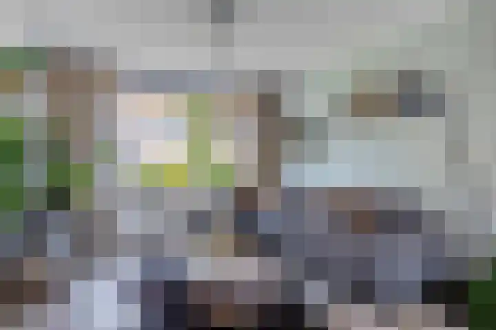Magnoliastraat 8 IJsselmuiden thumbnail 6