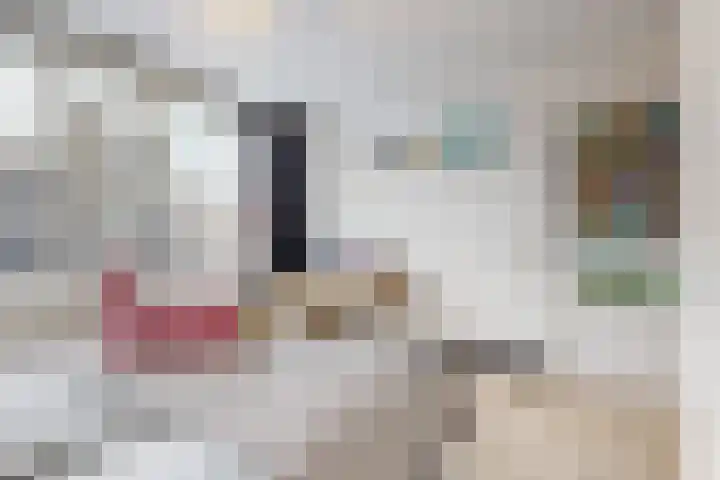 Magnoliastraat 8 Vianen thumbnail 15