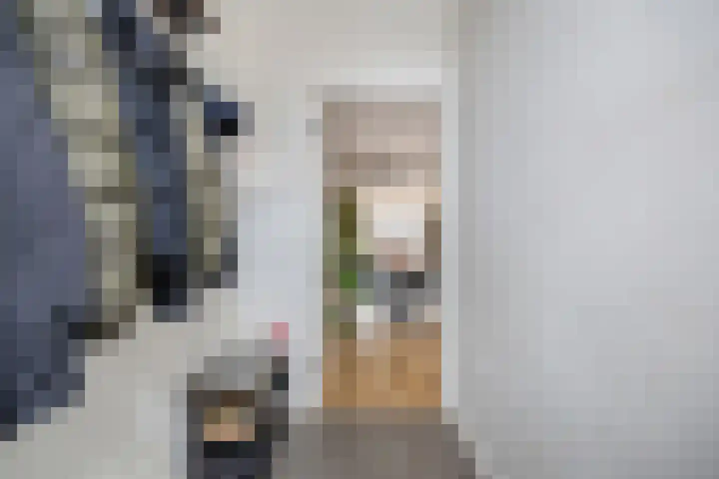 Magnoliastraat 9 Breda thumbnail 11
