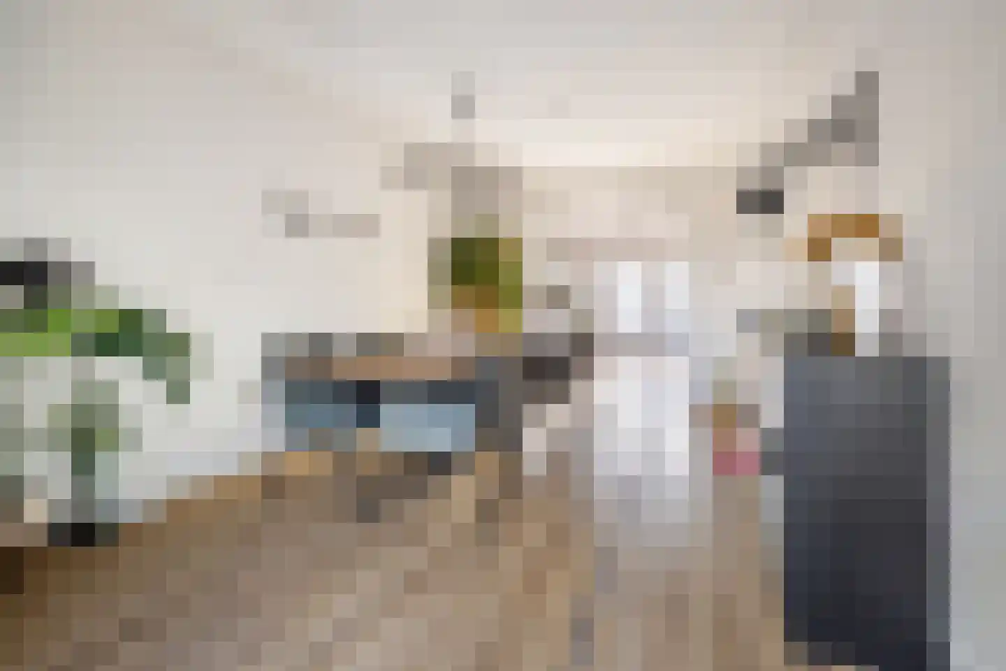 Magnoliastraat 9 Breda thumbnail 17