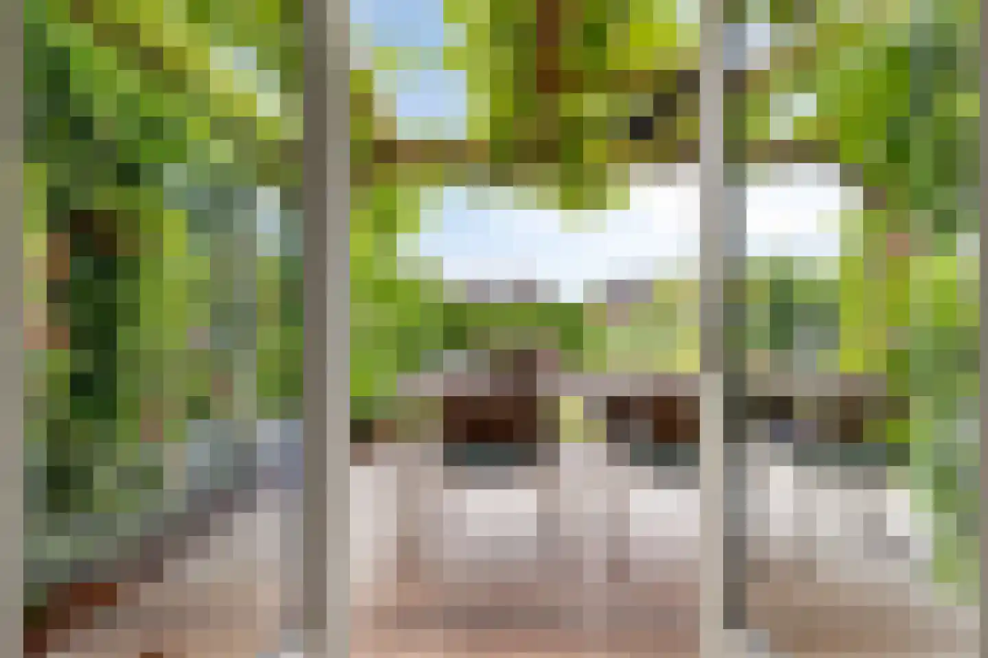 Magnusstraat 45 Groningen thumbnail 12
