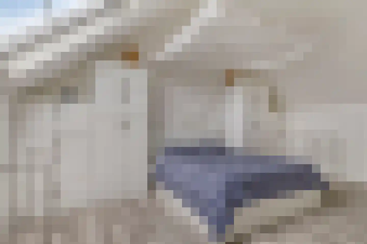 Magnusstraat 45 Groningen thumbnail 24