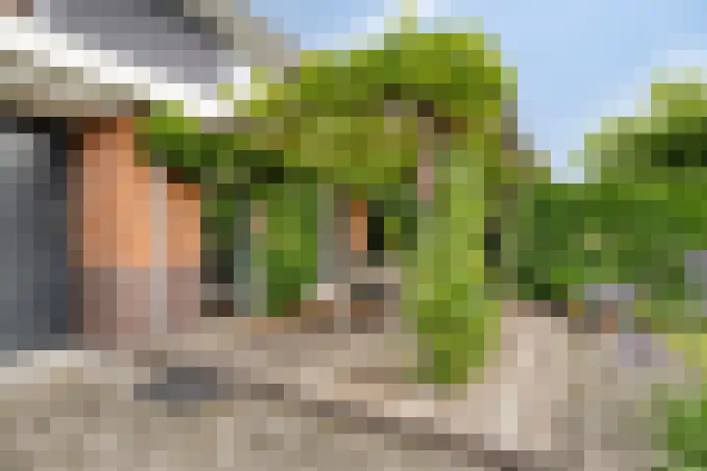 Magnusstraat 45 Groningen thumbnail 33