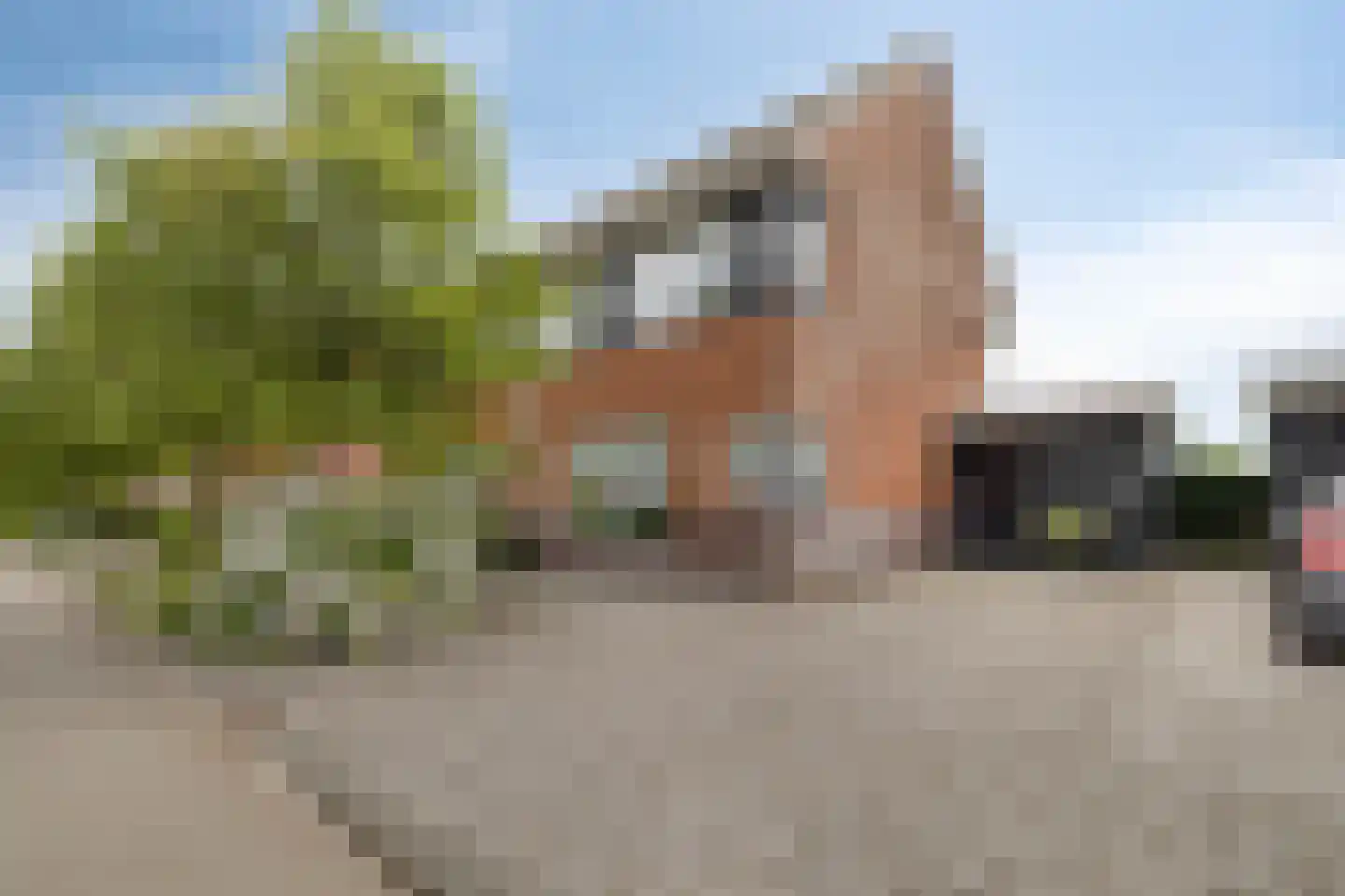 Magnusstraat 45 Groningen thumbnail 4