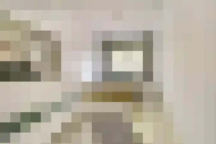 Magnusstraat 7 Groningen thumbnail 21