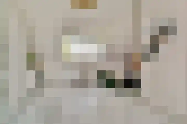 Magnusstraat 7 Groningen thumbnail 25