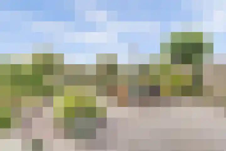 Magnusstraat 7 Groningen thumbnail 4