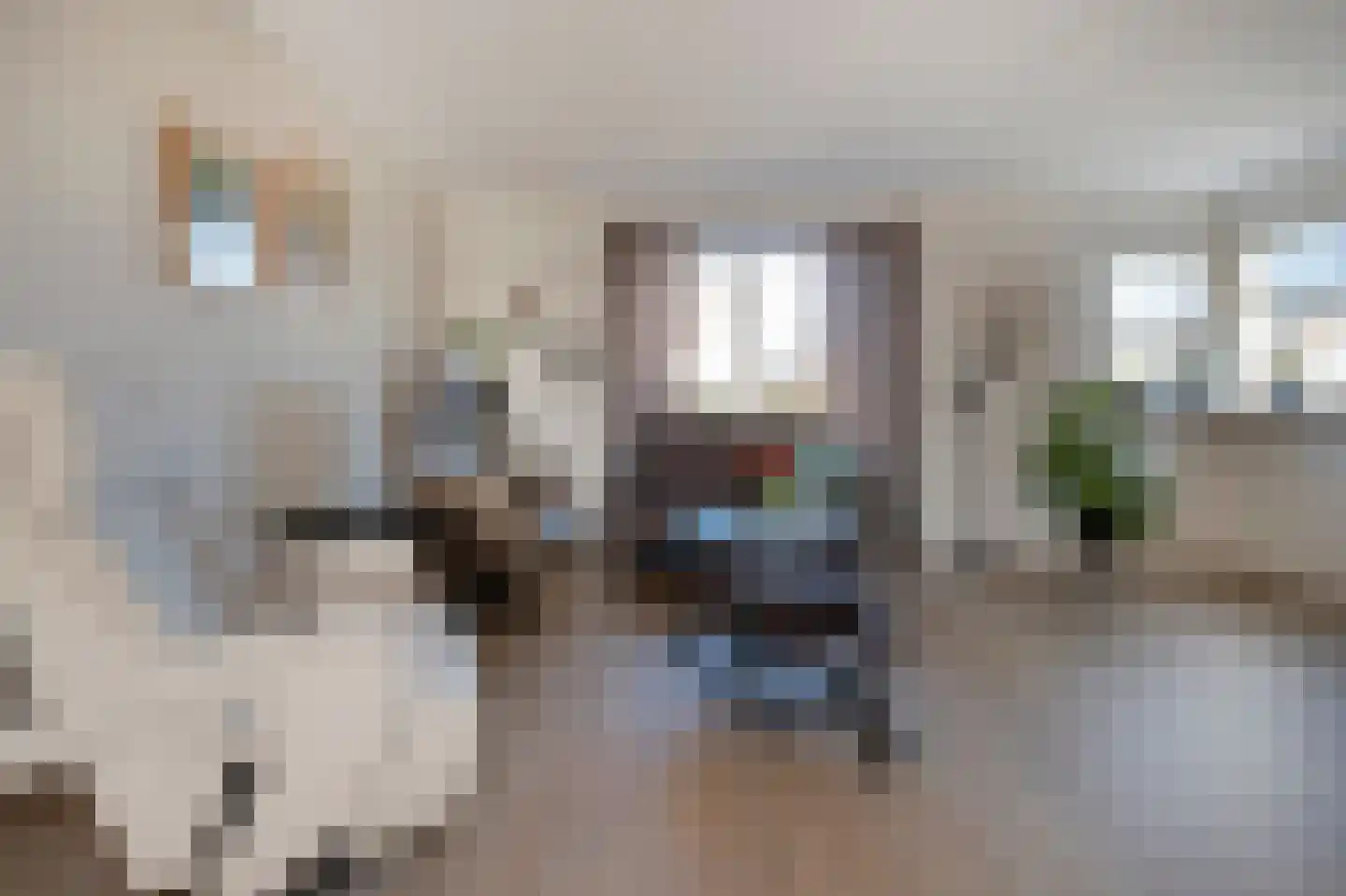 Magnusstraat 87 Groningen thumbnail 10