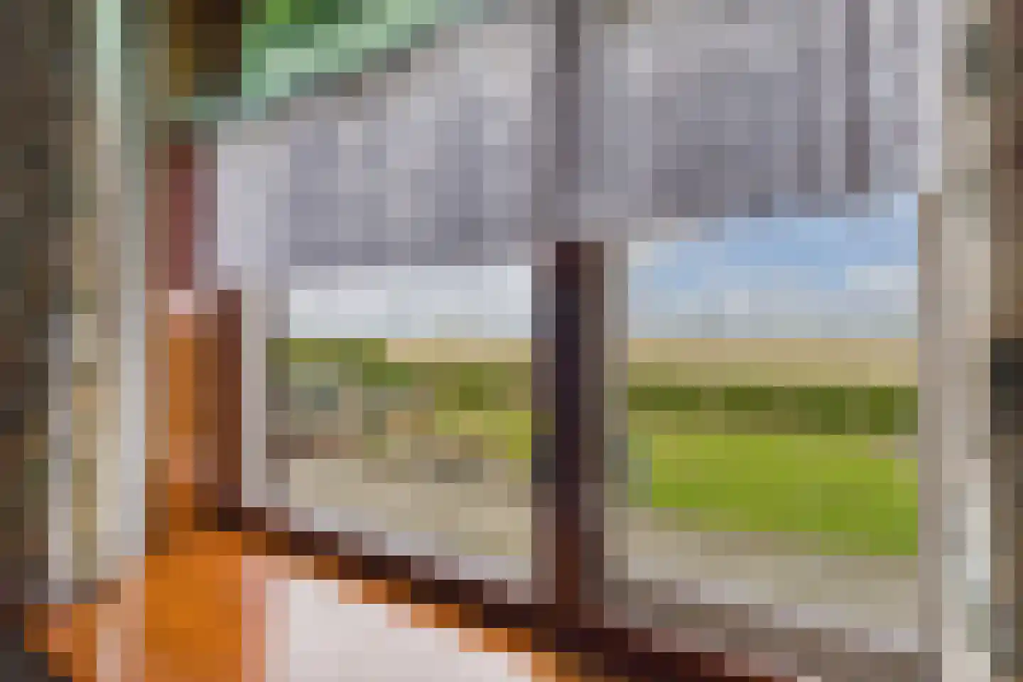 Magrette 26 Axel thumbnail 14