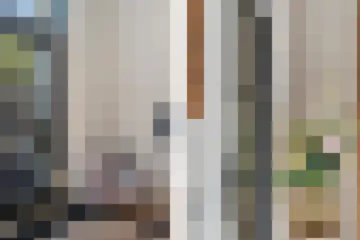 Mahatma Gandhisingel 30 Zoetermeer thumbnail 23