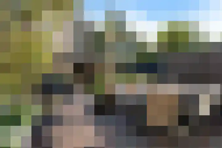 Mahatma Gandhisingel 30 Zoetermeer thumbnail 24