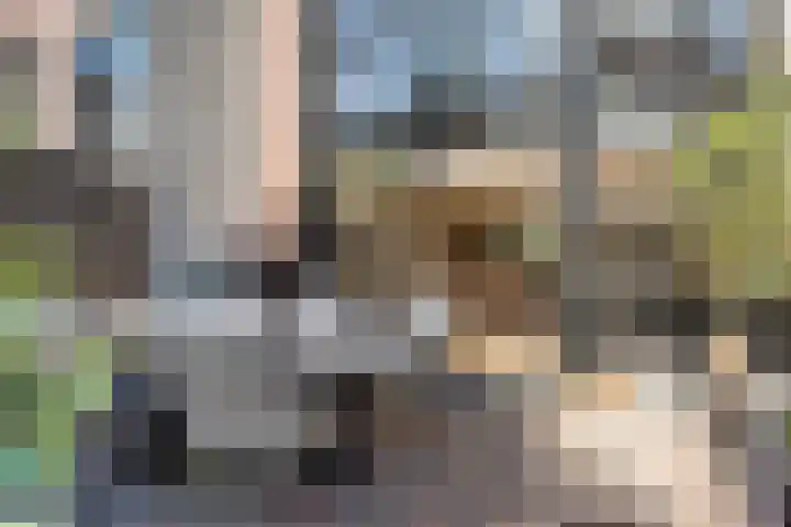 Mahatma Gandhisingel 30 Zoetermeer thumbnail 29