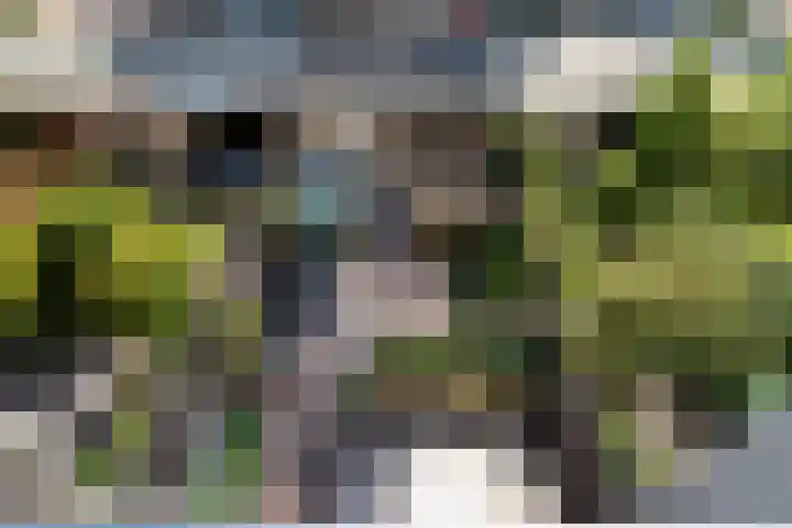 Mahatma Gandhisingel 30 Zoetermeer thumbnail 31