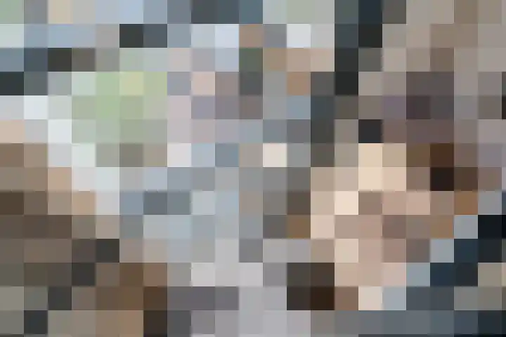 Mahatma Gandhisingel 30 Zoetermeer thumbnail 32