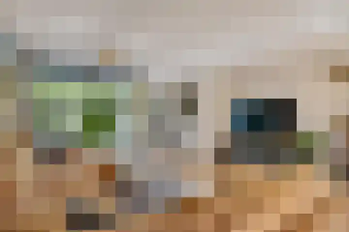Mahatma Gandhisingel 30 Zoetermeer thumbnail 37
