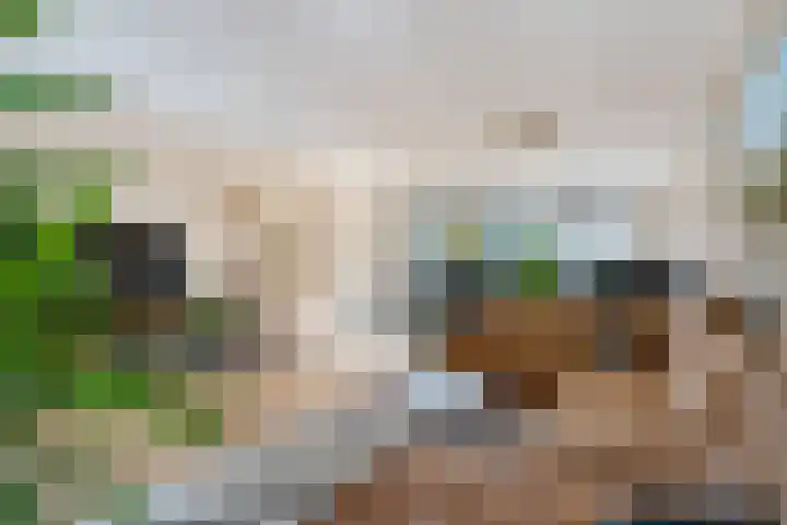 Mahatma Gandhisingel 30 Zoetermeer thumbnail 39