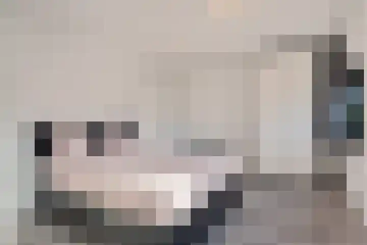 Mahatma Gandhisingel 30 Zoetermeer thumbnail 54