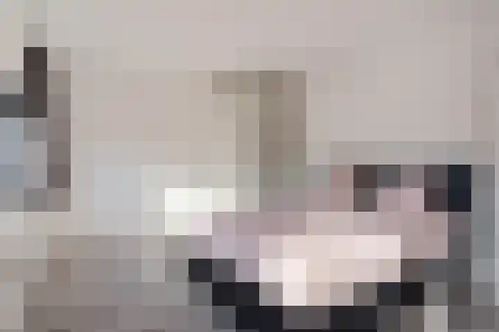 Mahatma Gandhisingel 30 Zoetermeer thumbnail 55