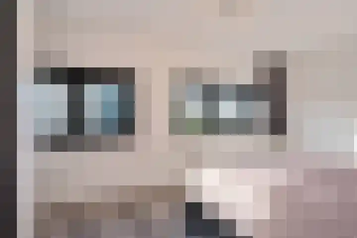 Mahatma Gandhisingel 30 Zoetermeer thumbnail 56