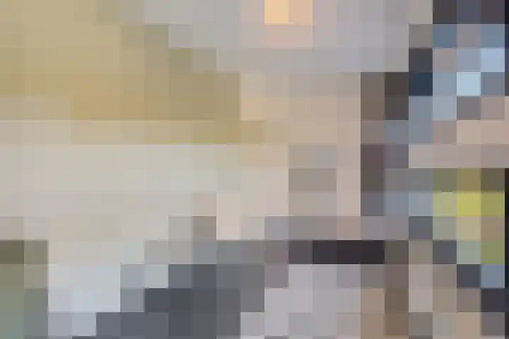 Mahatma Gandhisingel 30 Zoetermeer thumbnail 58