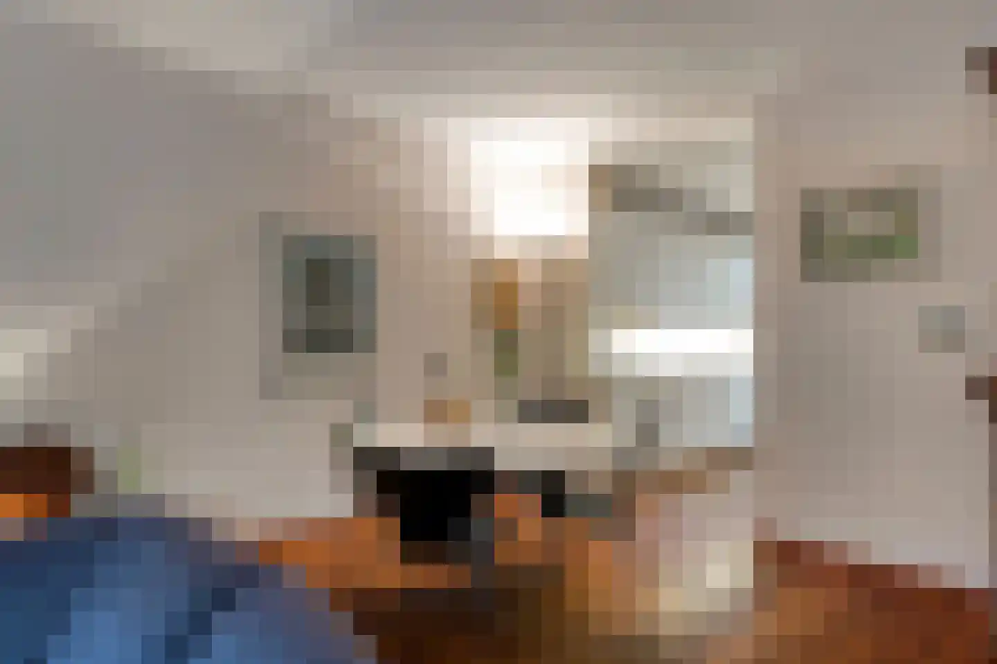 Mahatma Gandhistraat 104 Den Haag thumbnail 5